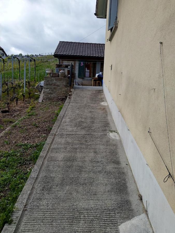 Charmante Maison Au Coeur Du Lavaux, Cully, Cuisine, Wifi, Les Echalas Екстериор снимка