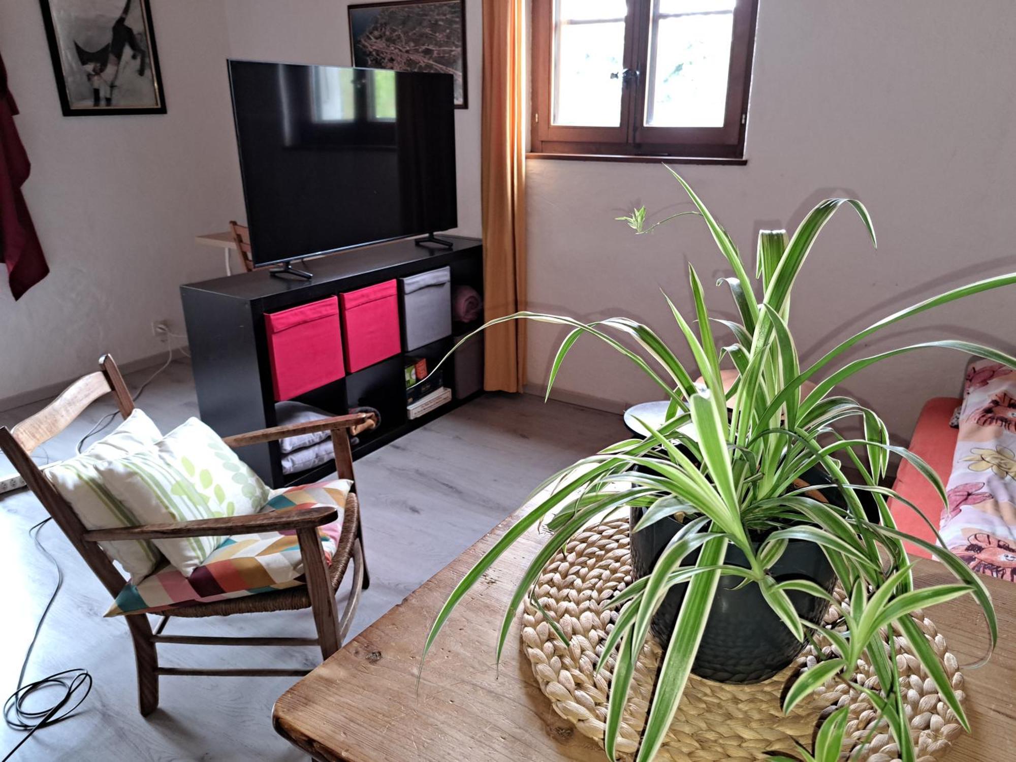 Charmante Maison Au Coeur Du Lavaux, Cully, Cuisine, Wifi, Les Echalas Екстериор снимка
